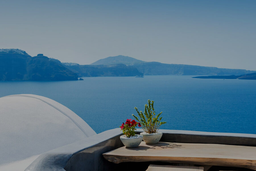 Pellentesque accumsan