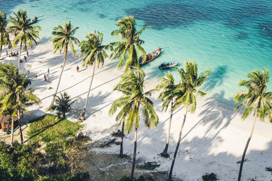 Pellentesque accumsan