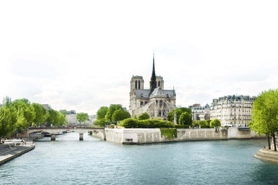 Pellentesque accumsan