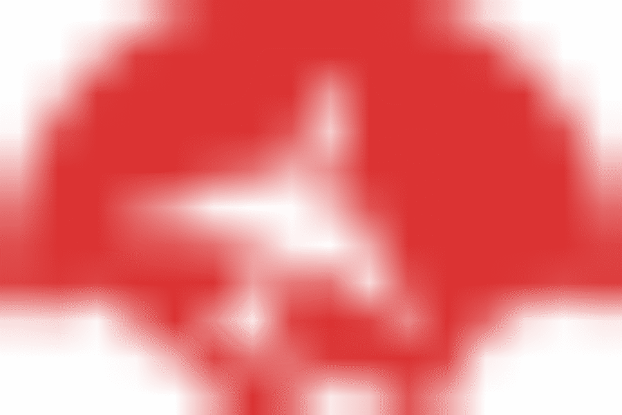 Pellentesque accumsan