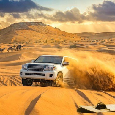 Dubai Desert Safari